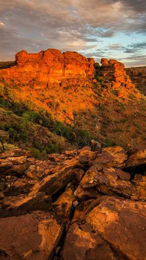 求快播种子截图2